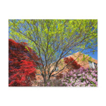Farbenfrohe Bäume und Bushes im Frühling