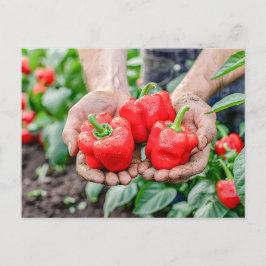 Farbenfrohe Bell-Paprikaschoten und Chili Mix Feiertagspostkarte