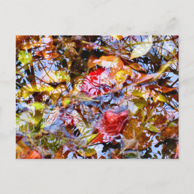 Farbenfrohe Blätter Pinakothek Züst Postkarte (Vorderseite)