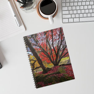 Farbenfrohe Blätter und Bäume im Herbst Landschaft Notizblock