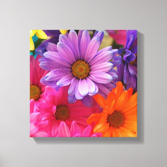 Farbenfrohe Blume Daisis Leinwand Single (Vorderseite)