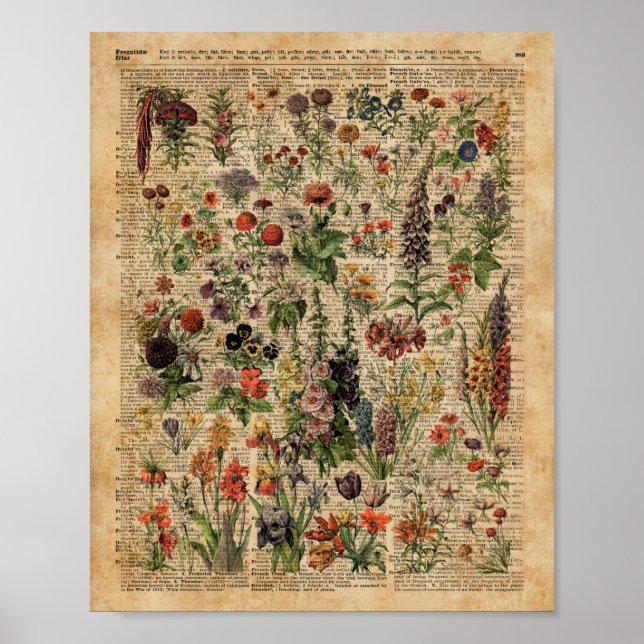 Farbenfrohe Blume Kräuter Wörterbuch Kunst Poster (Vorne)