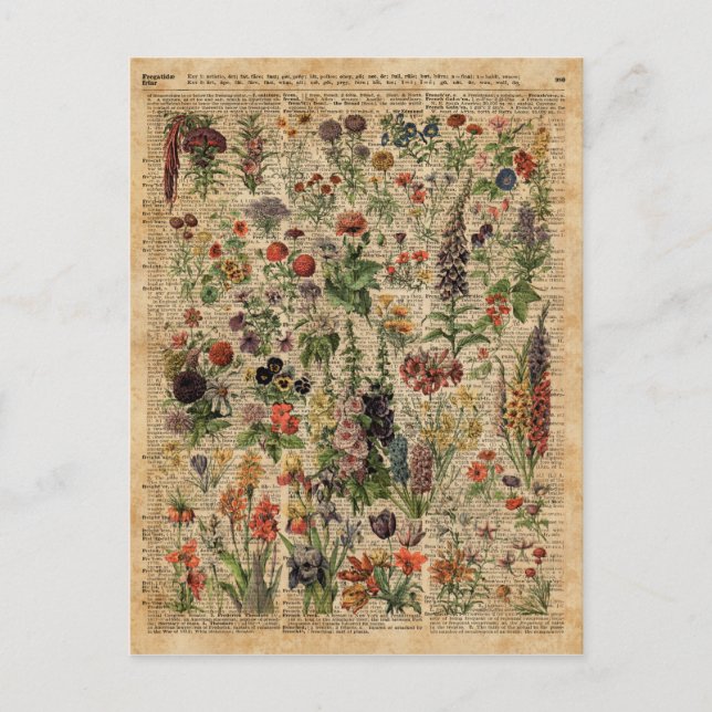 Farbenfrohe Blume Kräuter Wörterbuch Kunst Postkarte (Vorderseite)