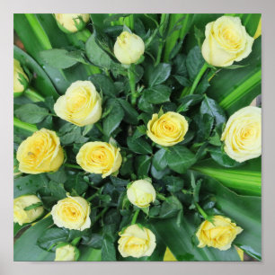 farbenfrohe+ Blumen, Garten+ Zwerg, Poster