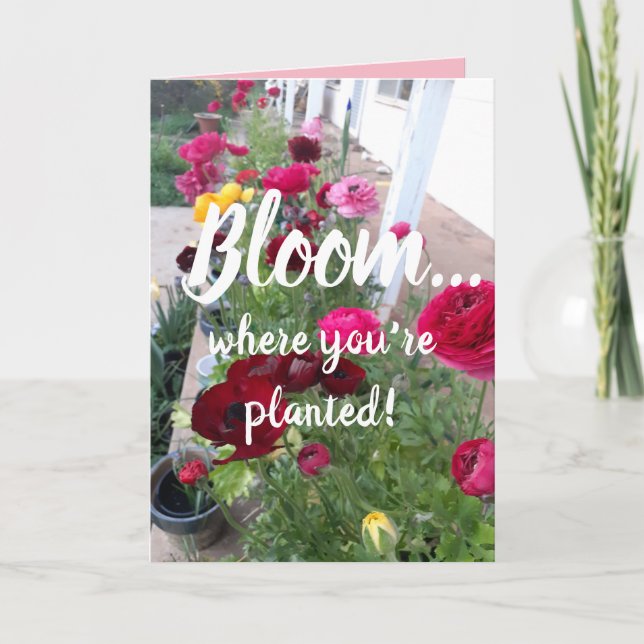 Farbenfrohe Blüte, wo Sie gepflanzte Blume-Karte h Karte (Vorderseite)