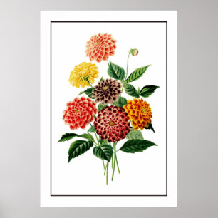 Farbenfrohe botanische Blume Poster