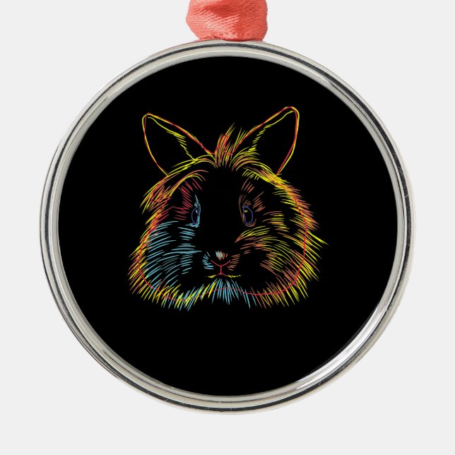Farbenfrohe Bunny Lionhead Kaninchen Ornament Aus Metall (Vorne)
