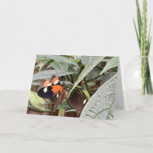 Farbenfrohe Butterfly-Begrüßung Karte
