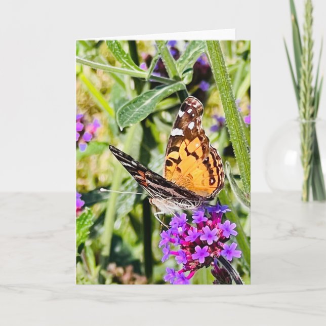 Farbenfrohe Butterfly-Begrüßung Karte (Vorderseite)