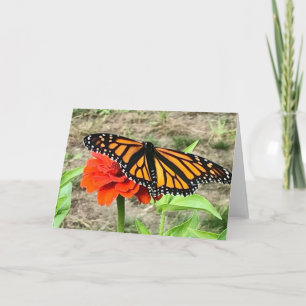 Farbenfrohe Butterfly-Begrüßung Karte