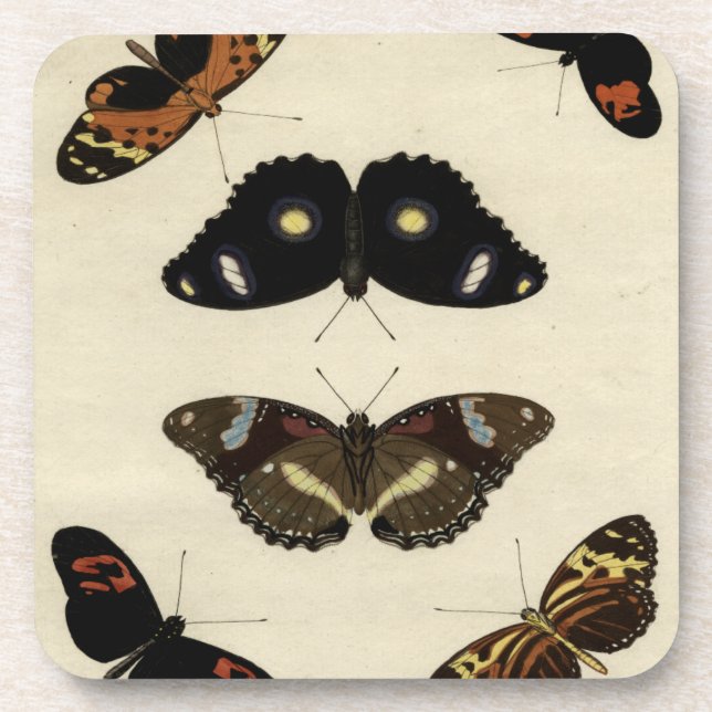 Farbenfrohe Butterfly-Medley auf Creme Background Getränkeuntersetzer (Vorderseite)