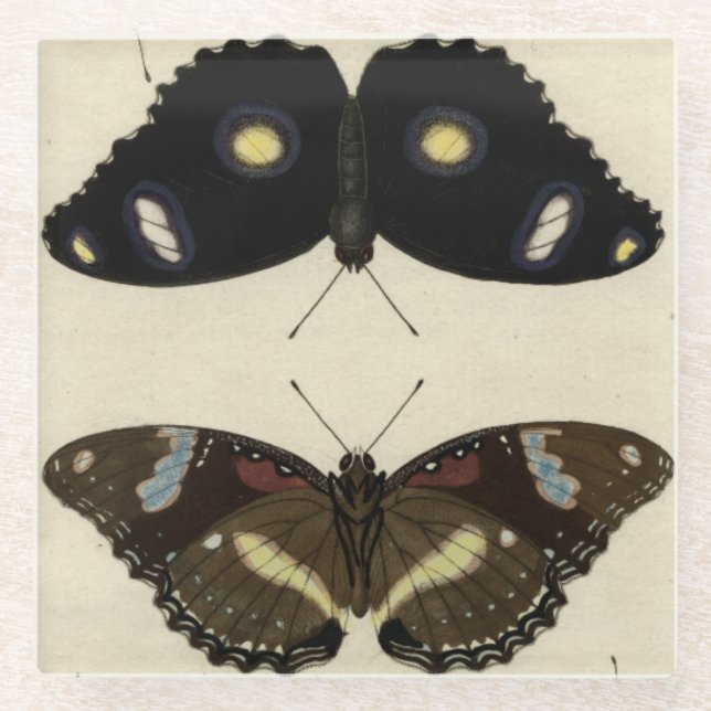 Farbenfrohe Butterfly-Medley auf Creme Background Glasuntersetzer (Vorderseite)