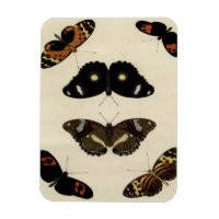 Farbenfrohe Butterfly-Medley auf Creme Background