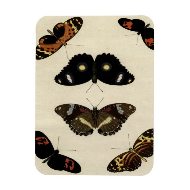 Farbenfrohe Butterfly-Medley auf Creme Background Magnet (Vertikal)