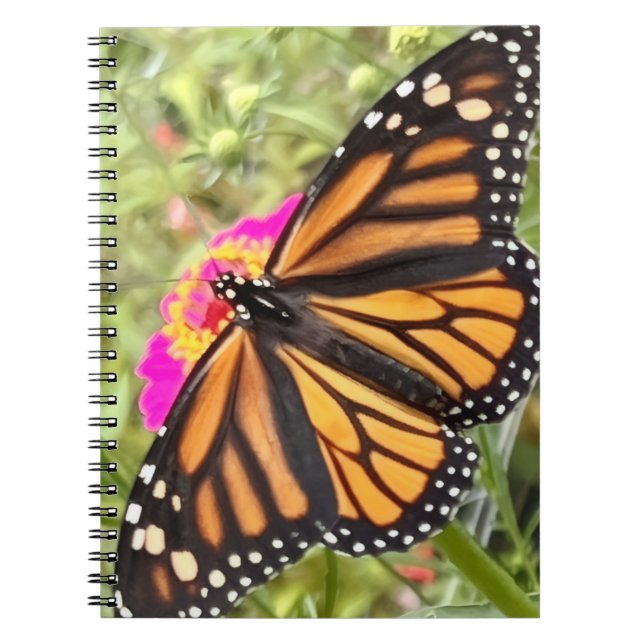 Farbenfrohe Butterfly Notizblock (Vorderseite)