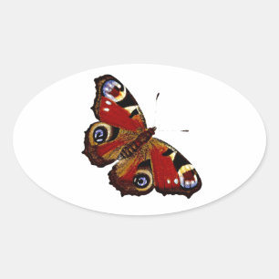 Farbenfrohe Butterfly Ovaler Aufkleber