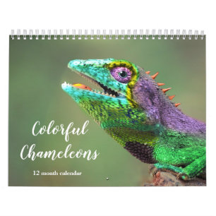 Farbenfrohe Chamäleons 2026 Kalender