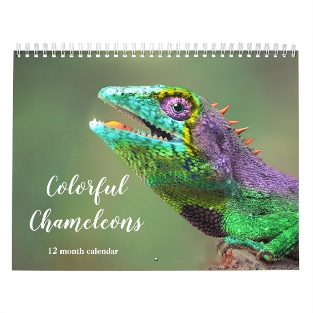 Farbenfrohe Chamäleons 2026 Kalender (Titelbild)