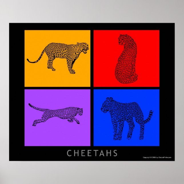 Farbenfrohe Cheetah Poster (Vorne)