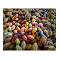 Farbenfrohe Coca Pods Fotografie