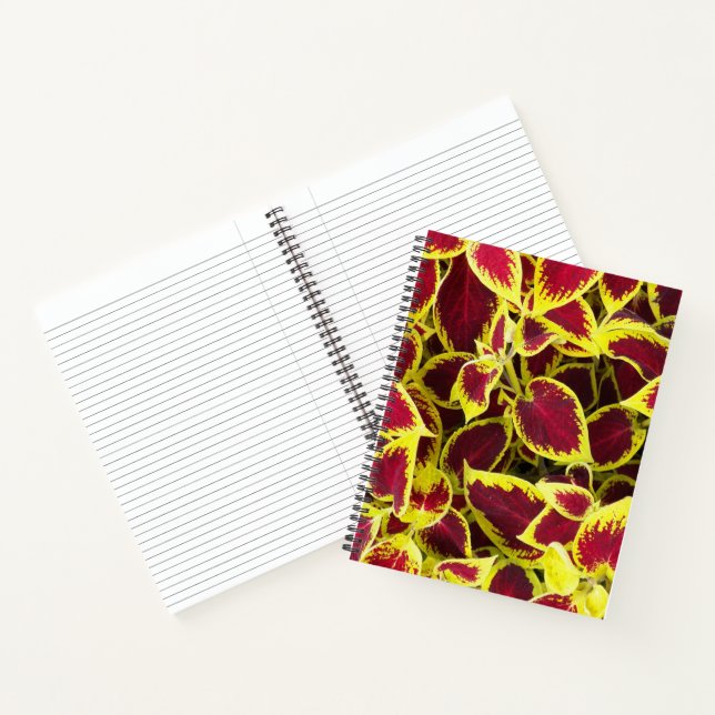 Farbenfrohe Coleus Pflanze Blätter florales Notebo Notizbuch (Innenseite)