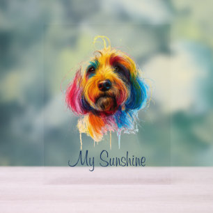 Farbenfrohe Doodle Acrylschild