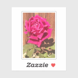 Farbenfrohe Elegante Rosa Blume Rosa Blütenfarben Aufkleber