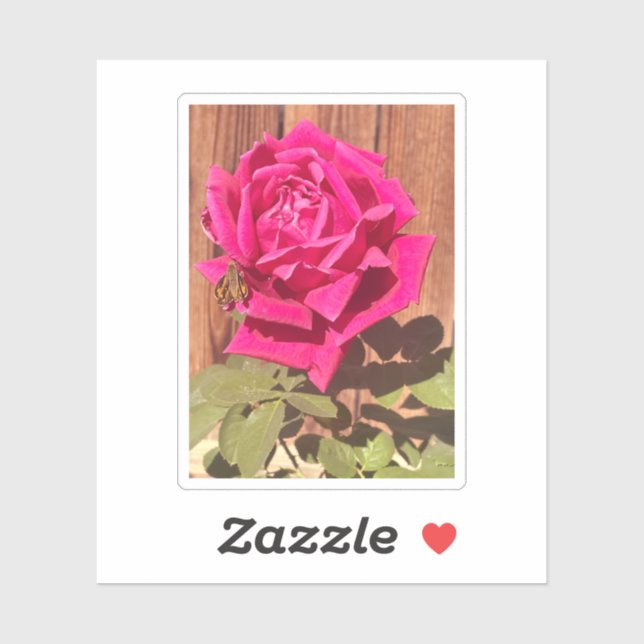 Farbenfrohe Elegante Rosa Blume Rosa Blütenfarben Aufkleber (Blatt)