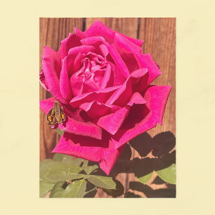 Farbenfrohe Elegante Rosa Blume Rosa Blütenfarben Postkarte