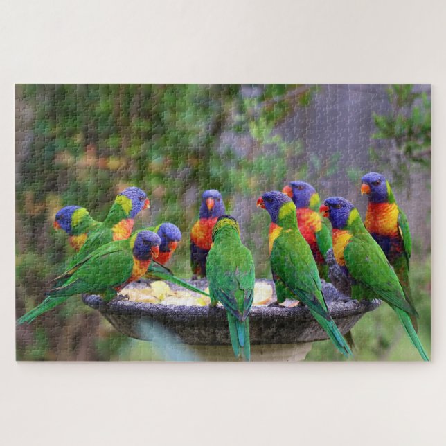 Farbenfrohe Flock mit Regenbogen Loirkeet Birds (Horizontal)