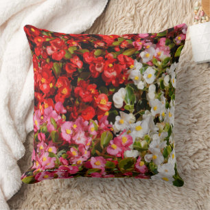 Farbenfrohe florale Medley von Wax Begonias Kissen