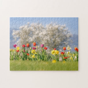 Farbenfrohe Frühlingsblumen mit Tulips und Düfte