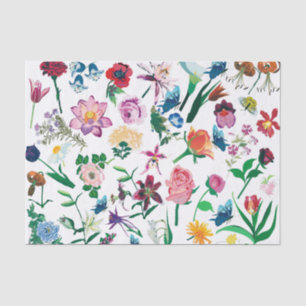 Farbenfrohe Frühlingsblumen Weiß Hintergrund Seidenpapier