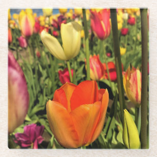 Farbenfrohe Frühlingshuppen Glasuntersetzer