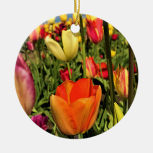 Farbenfrohe Frühlingshuppen Keramik Ornament