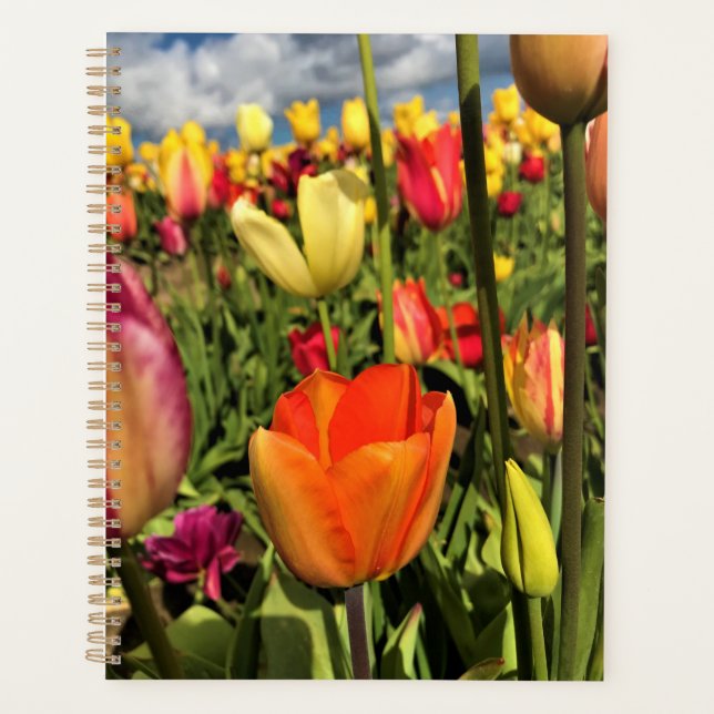 Farbenfrohe Frühlingshuppen Planer (Vorderseite)