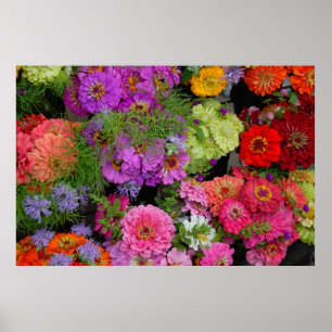 farbenfrohe Gänse Poster