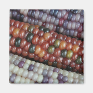 Farbenfrohe Gem Corn am Cob Magnet