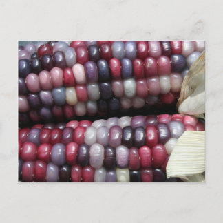 Farbenfrohe Gem Corn. Postkarte
