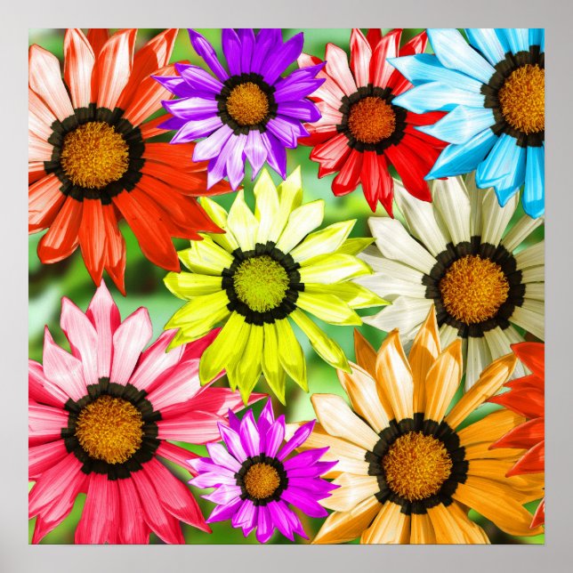 Farbenfrohe Gerberer Blume Blumendesign Poster (Vorne)