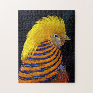 Farbenfrohe goldene Fasan-Druckpuzzle