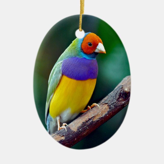 Farbenfrohe goldene Finte Keramikornament (Vorne)