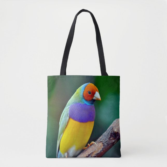 Farbenfrohe goldene Finte Tasche (Vorderseite)