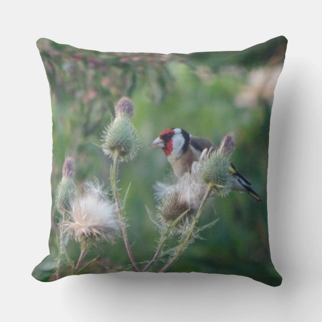 Farbenfrohe Goldfinch auf der Thistle Throw Kissen (Vorderseite)