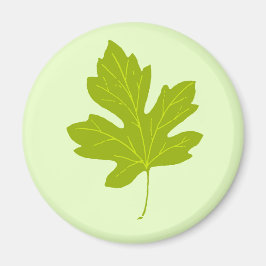 Farbenfrohe Grüne Herbstleaf Magnet