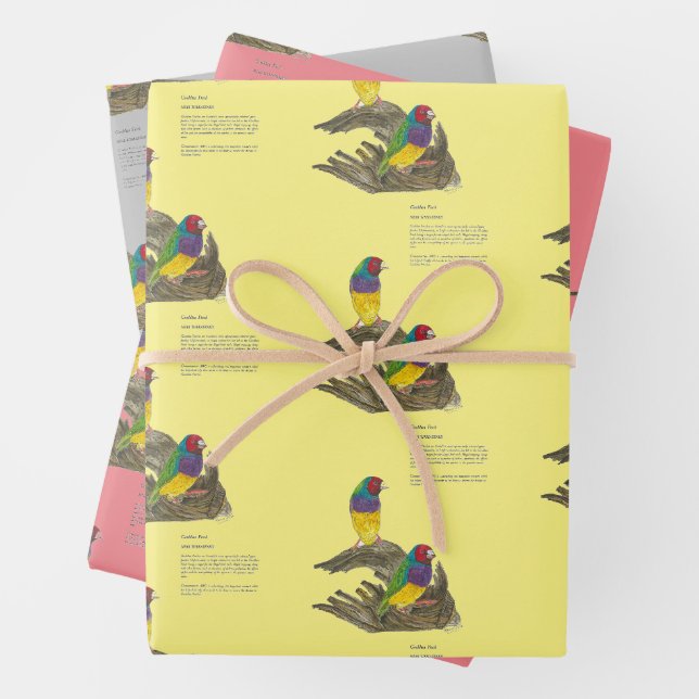 Farbenfrohe handbemalte Gouldian Finch Geschenkpapier Set (Beispiel)