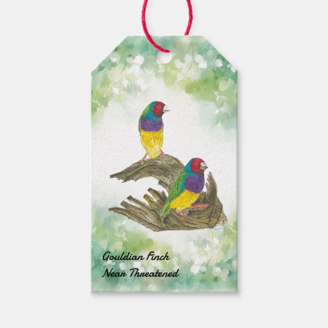 Farbenfrohe handbemalte Gouldianfinch Geschenkanhänger (Vorderseite)