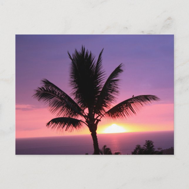 Farbenfrohe hawaiianische Sonnenuntergänge und Pal Postkarte (Vorderseite)