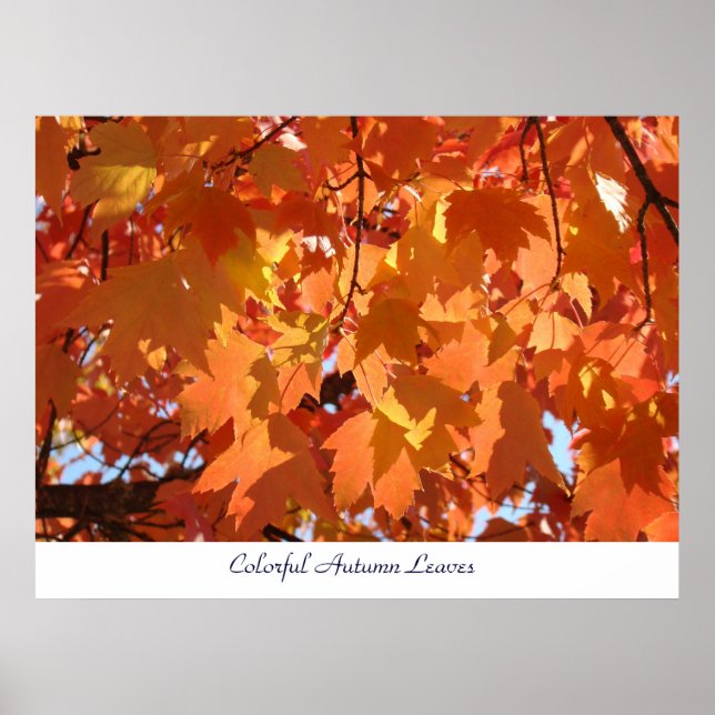 Farbenfrohe Herbst-Blätter Kunstdrucke Orange Fall Poster (Vorne)