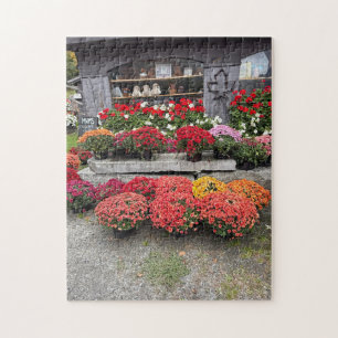 Farbenfrohe Herbst-Chrysanthemen